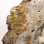 Large Brazilian Agate Slab + Custom Acrylic Stand V1