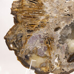 Large Brazilian Agate Slab + Custom Acrylic Stand V1