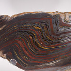 Large Gold Tiger Iron Slab From South Africa + Custom Acrylic Stand // 6lb