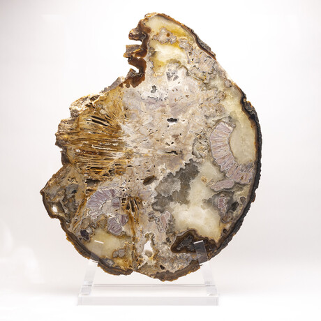Large Brazilian Agate Slab + Custom Acrylic Stand V1