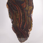 Large Gold Tiger Iron Slab From South Africa + Custom Acrylic Stand // 8lb