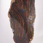 Large Gold Tiger Iron Slab From South Africa + Custom Acrylic Stand // 8lb