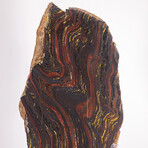 Large Gold Tiger Iron Slab From South Africa + Custom Acrylic Stand // 8lb