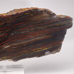 Large Gold Tiger Iron Slab From South Africa + Custom Acrylic Stand // 6lb