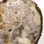 Large Brazilian Agate Slab + Custom Acrylic Stand V1