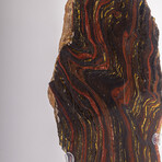 Large Gold Tiger Iron Slab From South Africa + Custom Acrylic Stand // 8lb