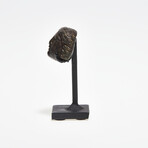 Roman Bronze Head // 1st-3rd Century AD