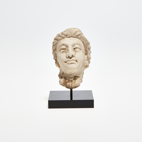 Indus Valley Stucco Head // 4th - 5th Century AD