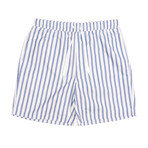 Hudson Swim Trunk // Blue Mist Stripe (Small)