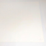 Donald Baechler // Coney Island I // 1994