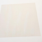 Andy Warhol // Flash - November 22, 1963 II.37 // 1968