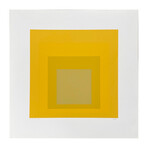 Josef Albers // Homage to Square