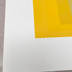 Josef Albers // Homage to Square