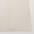 Andy Warhol // Flash - November 22, 1963 II.37 // 1968