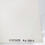 Andy Warhol // Electric Chair II.80 // 1971