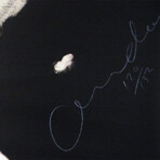 Joe Andoe // Horse II // 1989