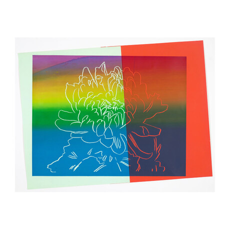 Andy Warhol // Kiku // 1983