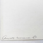 Andy Warhol // Electric Chair II.80 // 1971