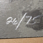 Ross Bleckner // Dream and Do I // 1997