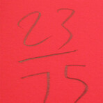 Donald Baechler // Coney Island VI // 1994