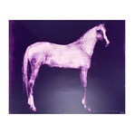 Joe Andoe // Horse Purple // 1995
