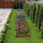 Vegetable Flower Garden Bed (24"L x 24"W x 6"H)