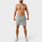 Dry Tech 2.0 Shorts // Gray (Small)