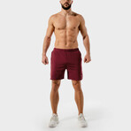 Dry Tech 2.0 Shorts // Maroon (Small)
