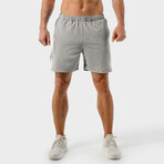 Dry Tech 2.0 Shorts // Gray (Small)