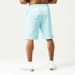 Golden Era Basketball Shorts // Angel Blue (Small)