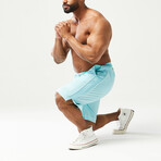 Golden Era Basketball Shorts // Angel Blue (Small)