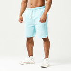 Golden Era Basketball Shorts // Angel Blue (Small)