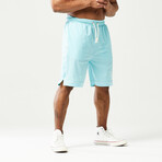 Golden Era Basketball Shorts // Angel Blue (Small)