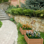Vegetable Flower Garden Bed // Set of 3 (24"L x 24"W x 6"H)