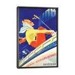 MOB Skiing by Vintage Apple Collection (26"H x 18"W x 0.75"D)