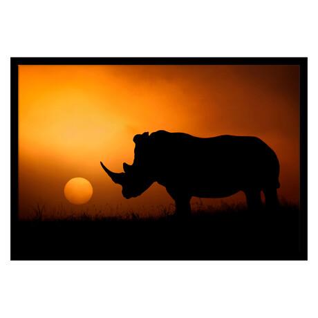 Rhino Sunrise (13"H x 16"W x 2"D)