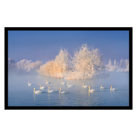 Swan Lake (13"H x 16"W x 2"D)