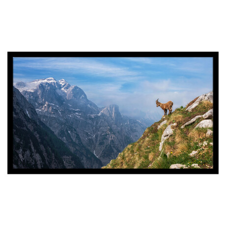 Alpine Ibex in the Mountains (13"H x 16"W x 2"D)