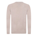 Jason V-Neck Pullover Sweater // Beige Melange (M)