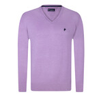 Cameron V-Neck Pullover Sweater // Purple Melange (M)