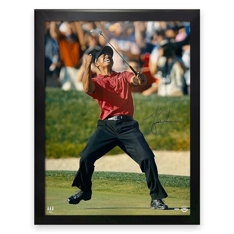 Tiger Woods // Autographed Large Photograph + Framed