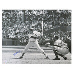 Stan Musial // Signed Cardinals Batting B&W Action 16x20 Photo - (PSA/DNA)