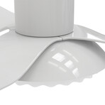 DAFFODIL 52 inch 3-Blade Flush Mount Smart Ceiling Fan + LED Light Kit