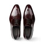 Shine Classic Shoes // Claret Red (Euro: 40)