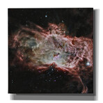 Flame Nebula, Courtesy of NASA (18"H x 18"W x 0.5"D)
