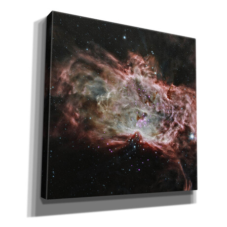 Flame Nebula, Courtesy of NASA (18"H x 18"W x 0.5"D)
