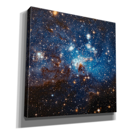 LH 95 Star Cluster, Courtesy of NASA (12"H x 12"W x 0.75"D)