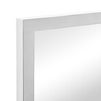 Contempo Silver Polished Stainless Steel Gold Wall Mirror (20"L x 1"W x 30"H)