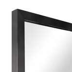 Contempo Black Brushed Stainless Steel Gold Wall Mirror