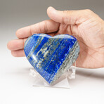 Genuine Polished Lapis Lazuli Heart With Acrylic Stand // 228g